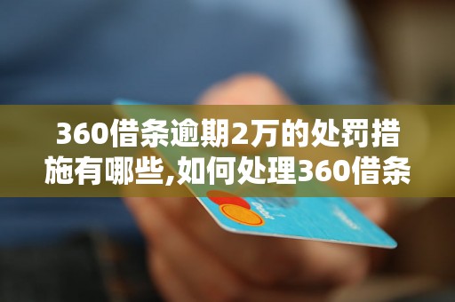 360借条逾期2万的处罚措施有哪些,如何处理360借条逾期2万