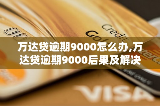 万达贷逾期9000怎么办,万达贷逾期9000后果及解决方法