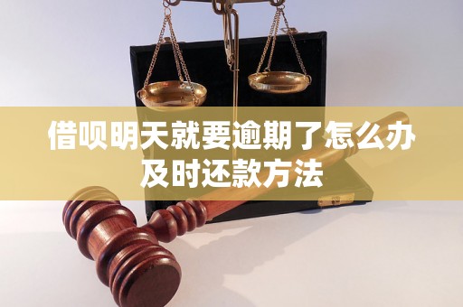 借呗明天就要逾期了怎么办及时还款方法