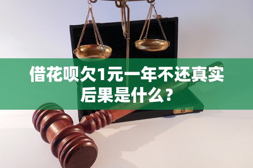 借花呗欠1元一年不还真实后果是什么？