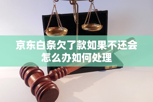 京东白条欠了款如果不还会怎么办如何处理