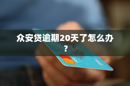 众安贷逾期20天了怎么办？