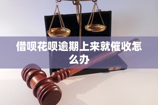 借呗花呗逾期上来就催收怎么办