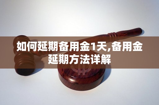 如何延期备用金1天,备用金延期方法详解