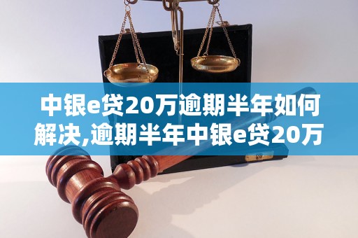 中银e贷20万逾期半年如何解决,逾期半年中银e贷20万如何催收