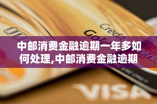 中邮消费金融逾期一年多如何处理,中邮消费金融逾期一年多后果如何