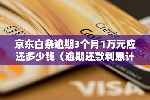 京东白条逾期3个月1万元应还多少钱（逾期还款利息计算方法）