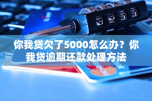 你我贷欠了5000怎么办？你我贷逾期还款处理方法