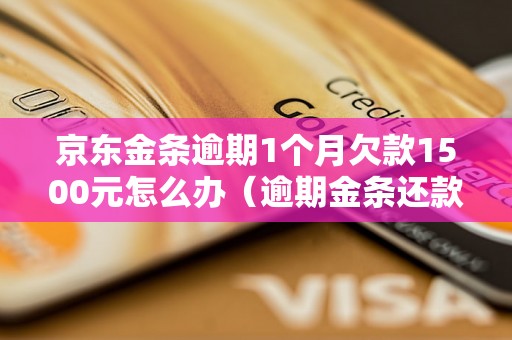 京东金条逾期1个月欠款1500元怎么办（逾期金条还款指南）