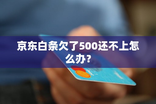 京东白条欠了500还不上怎么办？