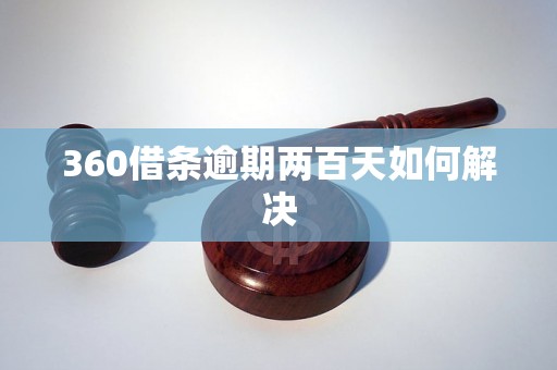 360借条逾期两百天如何解决