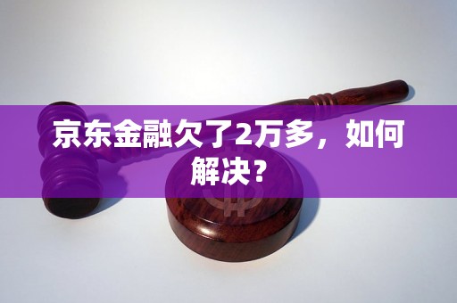 京东金融欠了2万多，如何解决？