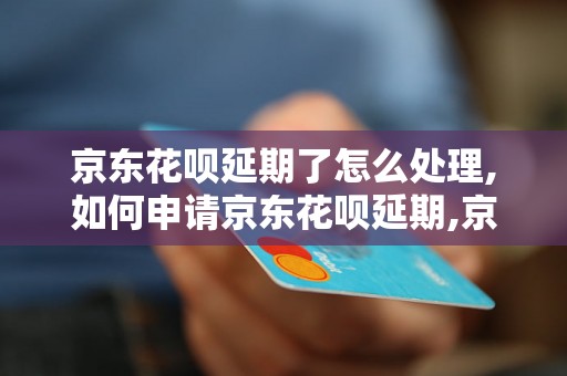 京东花呗延期了怎么处理,如何申请京东花呗延期,京东花呗延期申请流程