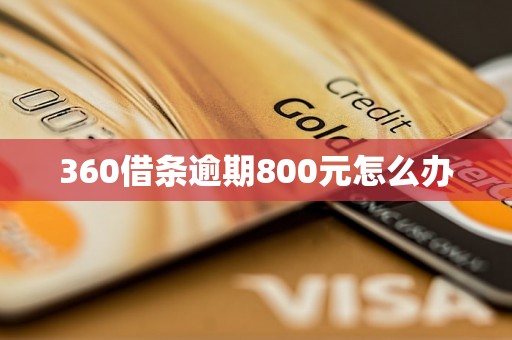 360借条逾期800元怎么办