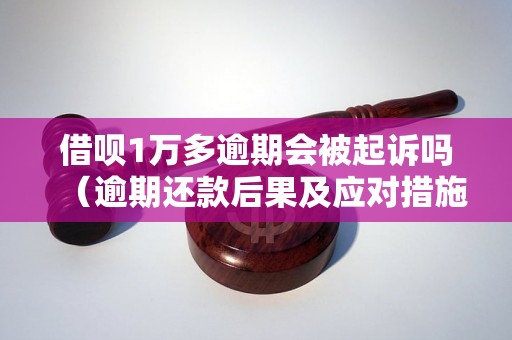 借呗1万多逾期会被起诉吗（逾期还款后果及应对措施）