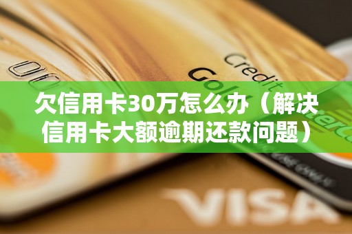 欠信用卡30万怎么办（解决信用卡大额逾期还款问题）