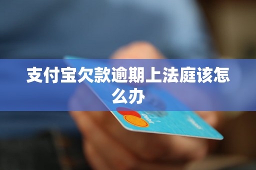 支付宝欠款逾期上法庭该怎么办