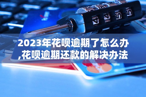 2023年花呗逾期了怎么办,花呗逾期还款的解决办法