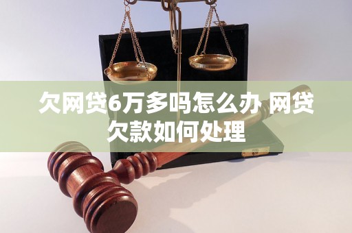 欠网贷6万多吗怎么办 网贷欠款如何处理