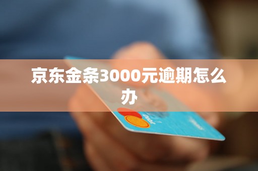 京东金条3000元逾期怎么办