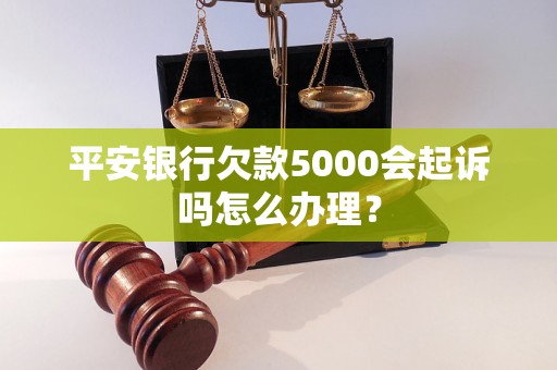 平安银行欠款5000会起诉吗怎么办理？