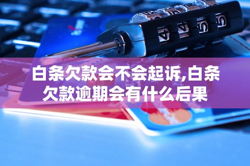 白条欠款会不会起诉,白条欠款逾期会有什么后果