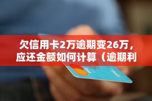 欠信用卡2万逾期变26万，应还金额如何计算（逾期利息及滞纳金明细）