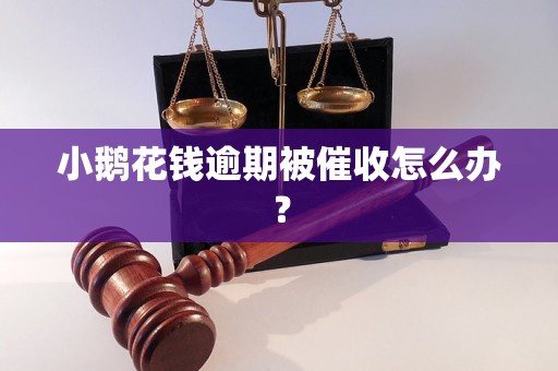 小鹅花钱逾期被催收怎么办？