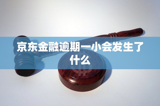 京东金融逾期一小会发生了什么