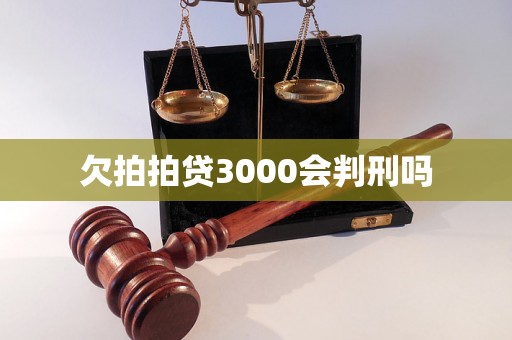 欠拍拍贷3000会判刑吗