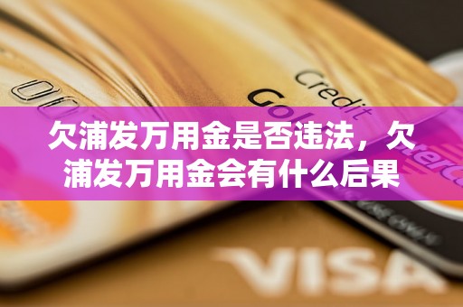 欠浦发万用金是否违法，欠浦发万用金会有什么后果