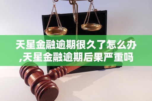 天星金融逾期很久了怎么办,天星金融逾期后果严重吗