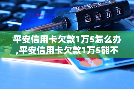 平安信用卡欠款1万5怎么办,平安信用卡欠款1万5能不能分期还款