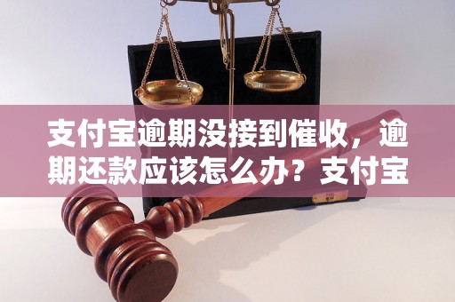 支付宝逾期没接到催收，逾期还款应该怎么办？支付宝逾期催收流程解析