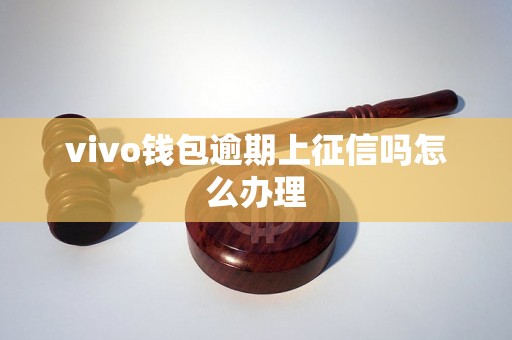 vivo钱包逾期上征信吗怎么办理