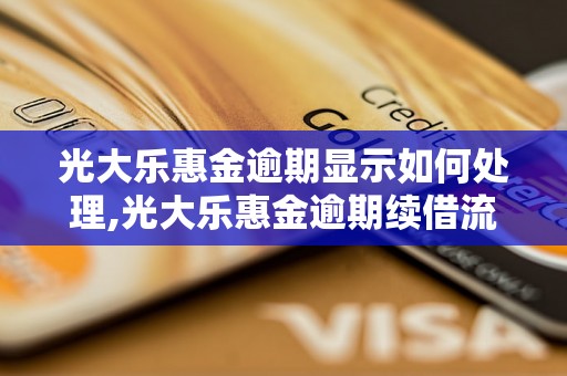 光大乐惠金逾期显示如何处理,光大乐惠金逾期续借流程