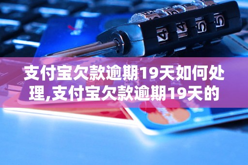 支付宝欠款逾期19天如何处理,支付宝欠款逾期19天的后果