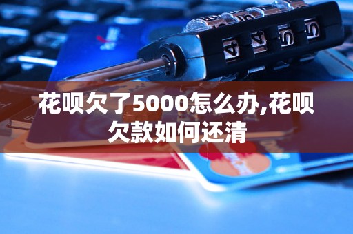 花呗欠了5000怎么办,花呗欠款如何还清