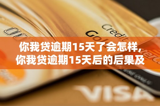 你我贷逾期15天了会怎样,你我贷逾期15天后的后果及处理方式