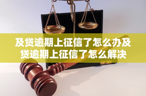 及贷逾期上征信了怎么办及贷逾期上征信了怎么解决