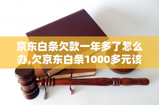 京东白条欠款一年多了怎么办,欠京东白条1000多元该如何处理