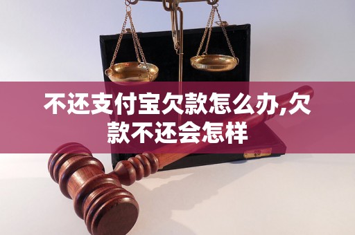 不还支付宝欠款怎么办,欠款不还会怎样