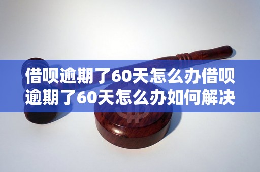 借呗逾期了60天怎么办借呗逾期了60天怎么办如何解决？