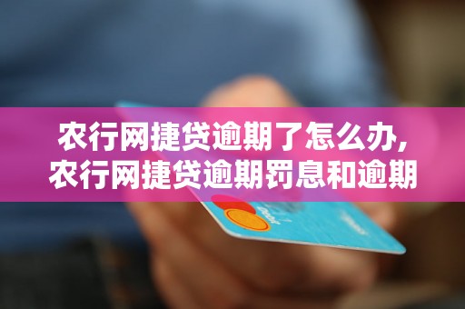 农行网捷贷逾期了怎么办,农行网捷贷逾期罚息和逾期利息如何计算