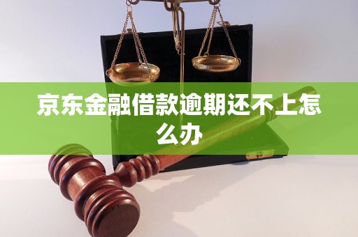 京东金融借款逾期还不上怎么办