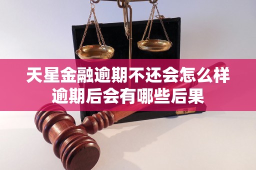 天星金融逾期不还会怎么样逾期后会有哪些后果