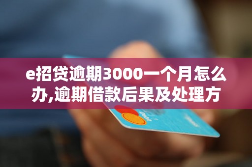 e招贷逾期3000一个月怎么办,逾期借款后果及处理方式