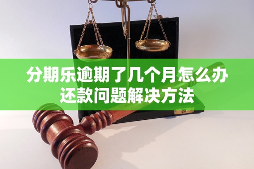 分期乐逾期了几个月怎么办还款问题解决方法