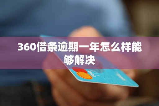 360借条逾期一年怎么样能够解决