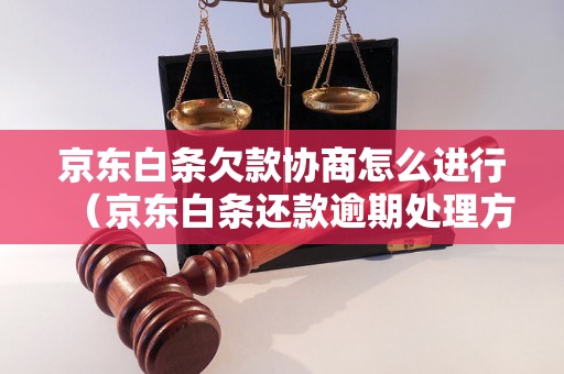 京东白条欠款协商怎么进行（京东白条还款逾期处理方法）